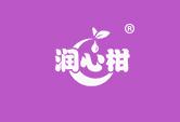 润心柑