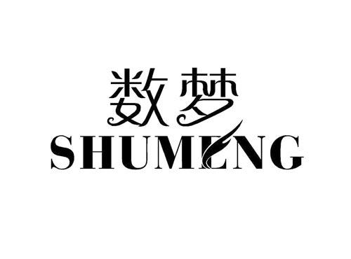 数梦