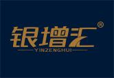 银增汇