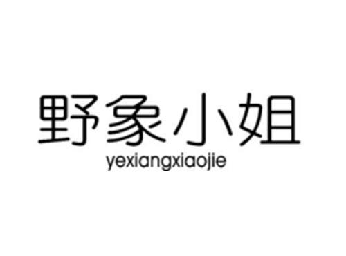野象小姐