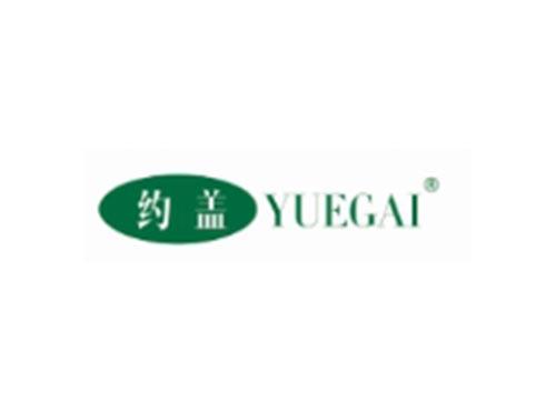 约盖YUEGAI
