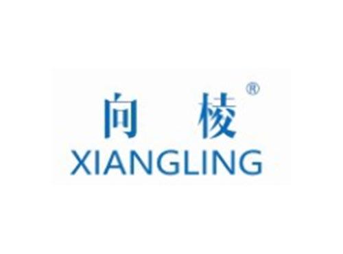 向棱
XIANGLING
