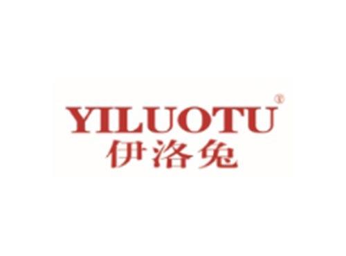 伊洛兔YILUOTU