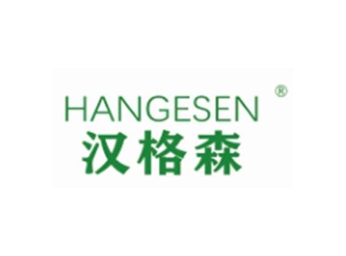 HANGESEN
汉格森