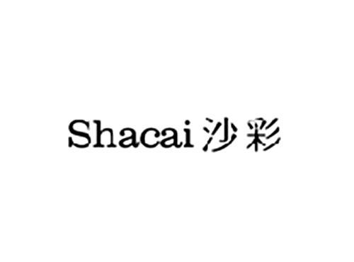 沙彩