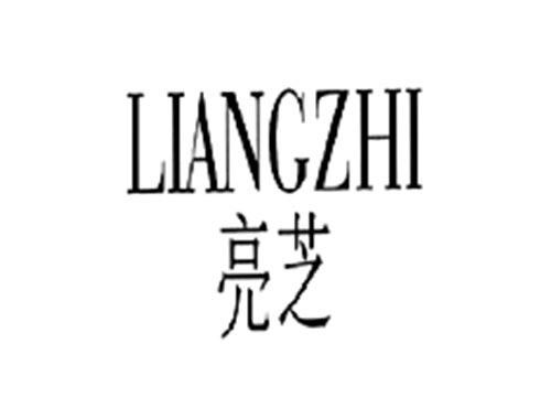 亮芝