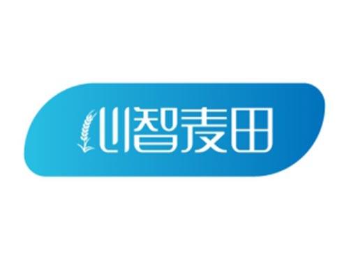 心智麦田