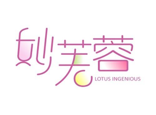 妙芙蓉         Lotus ingenious