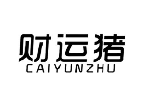 财运猪
