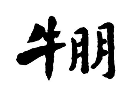 牛朋