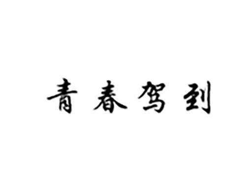 青春驾到