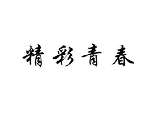 精彩青春