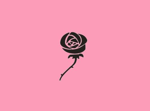 玫瑰花图