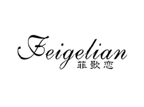 菲歌恋