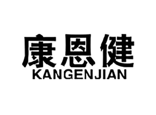 康恩健