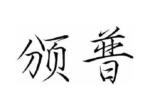颁普