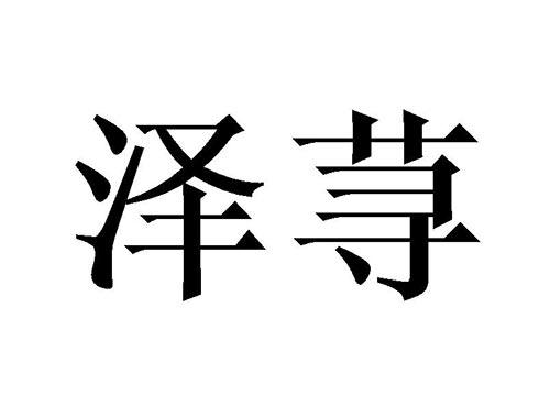 泽荨