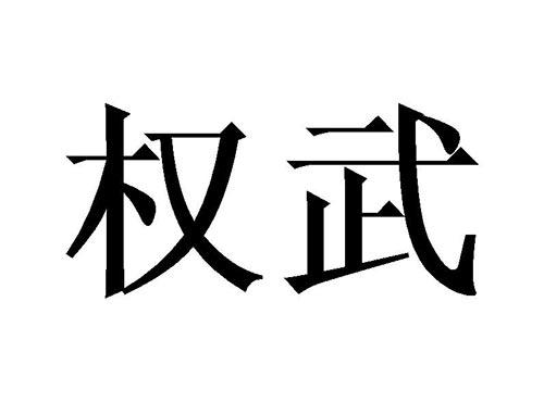 权武
