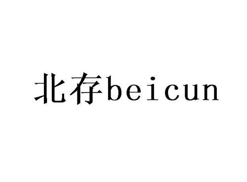 北存