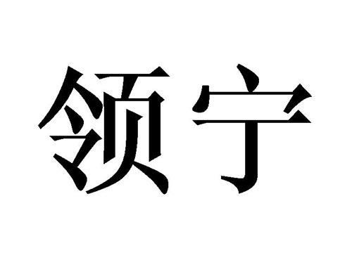 领宁
