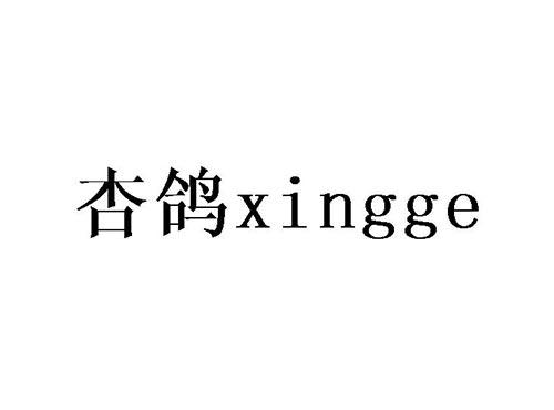 杏鸽