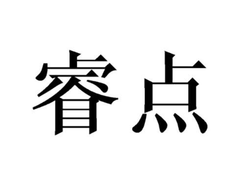 睿点