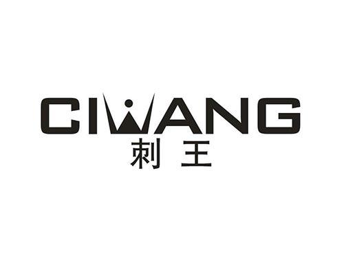 刺王