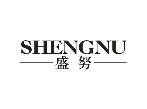 盛努