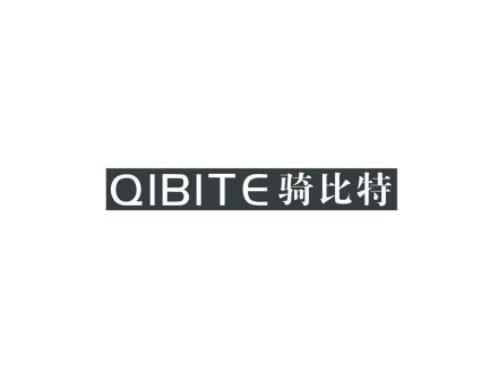 骑比特QIBITE