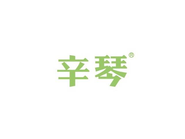 辛琴