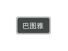 ,巴图雅