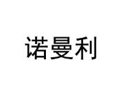 诺曼利
