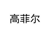 高菲尔