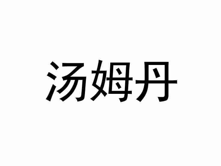 汤姆丹
