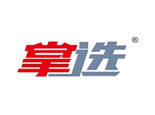 掌选