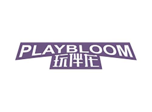 玩伴龙