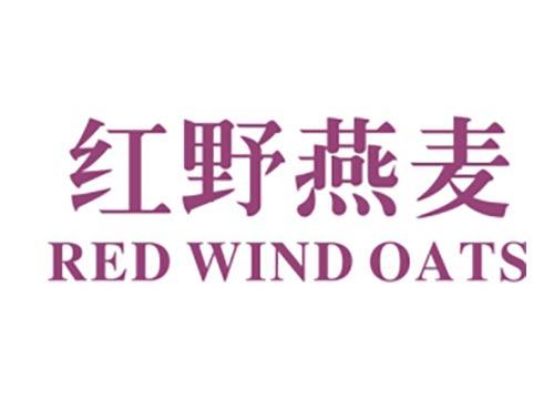 红野燕麦