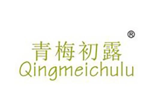 青梅初露