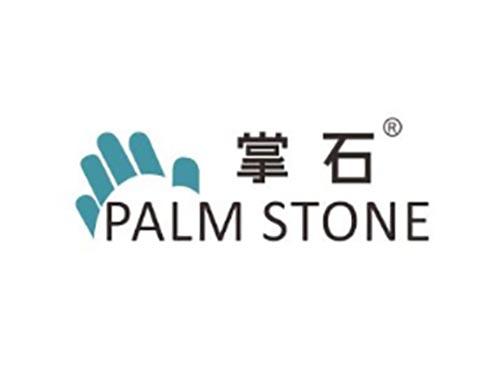 掌石