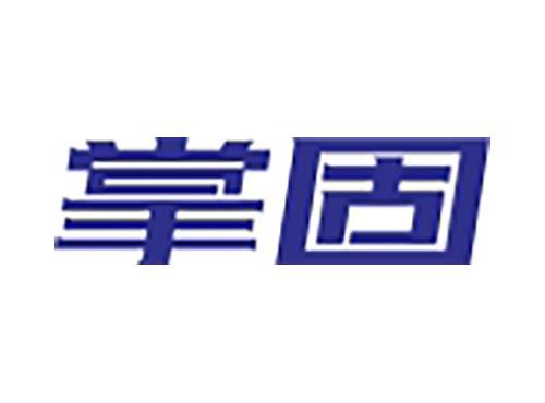 掌固