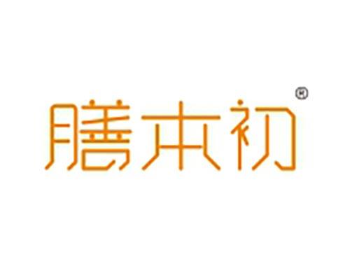 膳本初