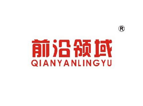 前沿领域