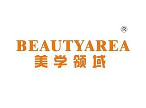 美学领域
