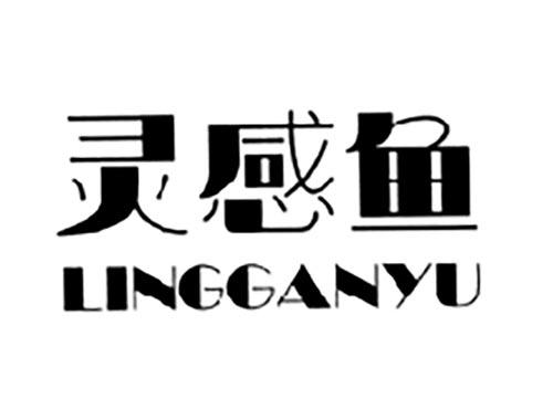 灵感鱼