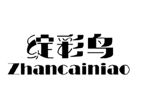 绽彩鸟