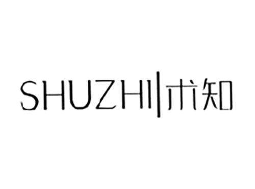 术知
