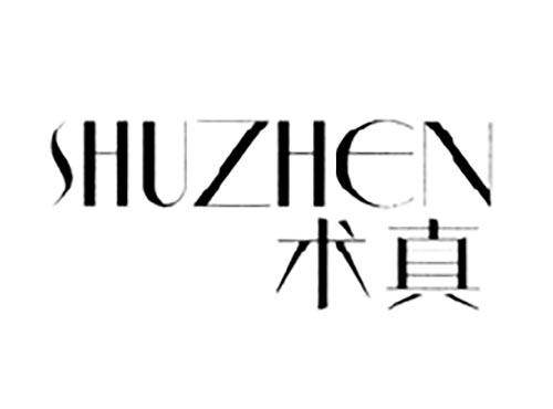 术真