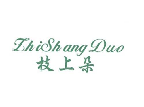 枝上朵