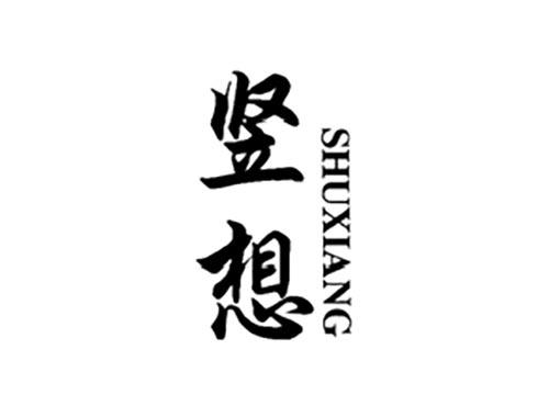 竖想