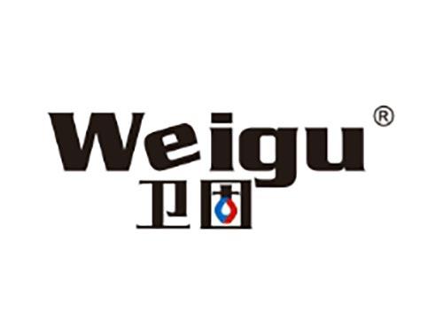 卫固